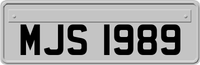 MJS1989