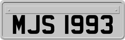 MJS1993