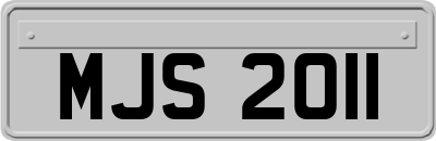 MJS2011