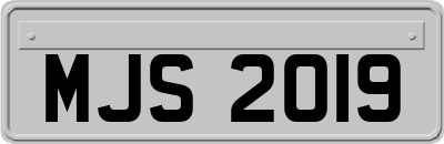 MJS2019