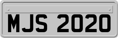 MJS2020
