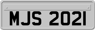 MJS2021