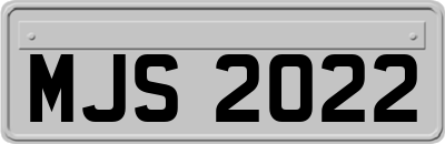 MJS2022