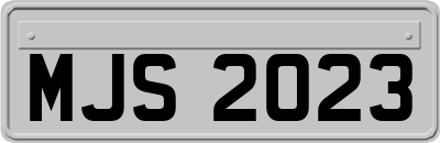 MJS2023