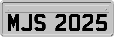 MJS2025