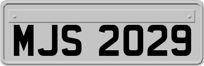 MJS2029