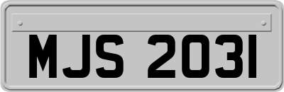 MJS2031