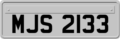 MJS2133