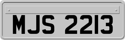 MJS2213
