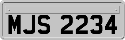 MJS2234