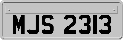 MJS2313