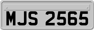MJS2565