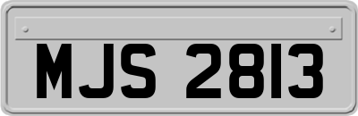 MJS2813