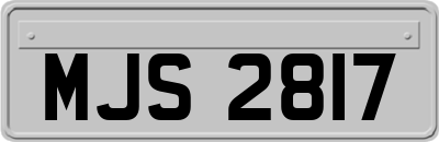 MJS2817