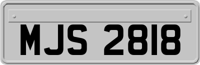 MJS2818