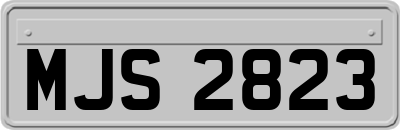 MJS2823