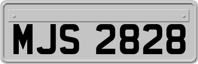MJS2828