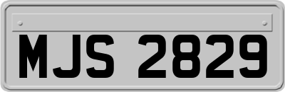 MJS2829
