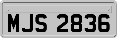 MJS2836