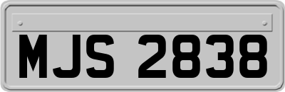 MJS2838