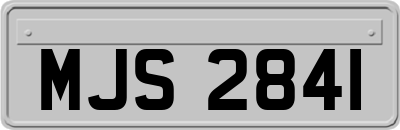 MJS2841