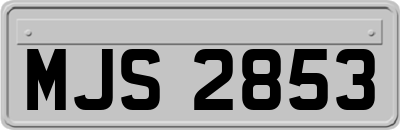 MJS2853