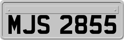MJS2855