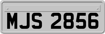 MJS2856