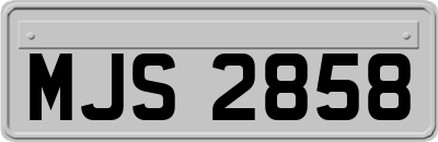 MJS2858