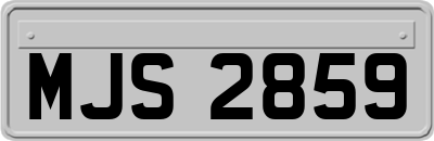 MJS2859