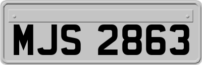 MJS2863