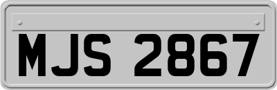 MJS2867