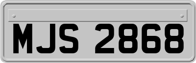 MJS2868