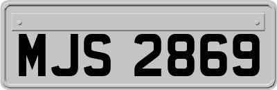 MJS2869