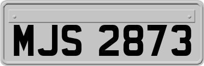 MJS2873