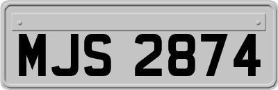 MJS2874
