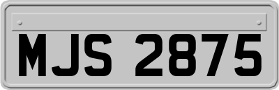 MJS2875