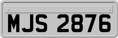 MJS2876