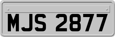 MJS2877