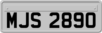 MJS2890