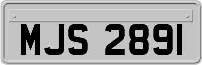 MJS2891