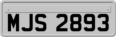 MJS2893