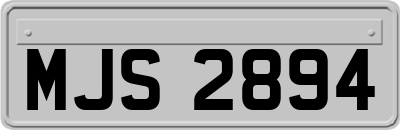 MJS2894