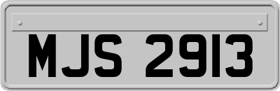MJS2913