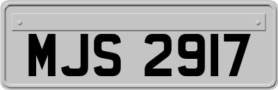 MJS2917