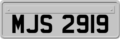 MJS2919