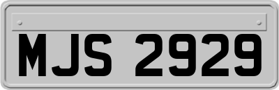 MJS2929