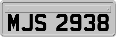 MJS2938