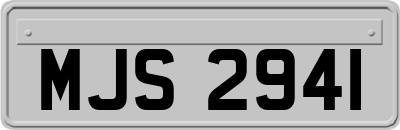 MJS2941