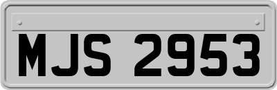 MJS2953
